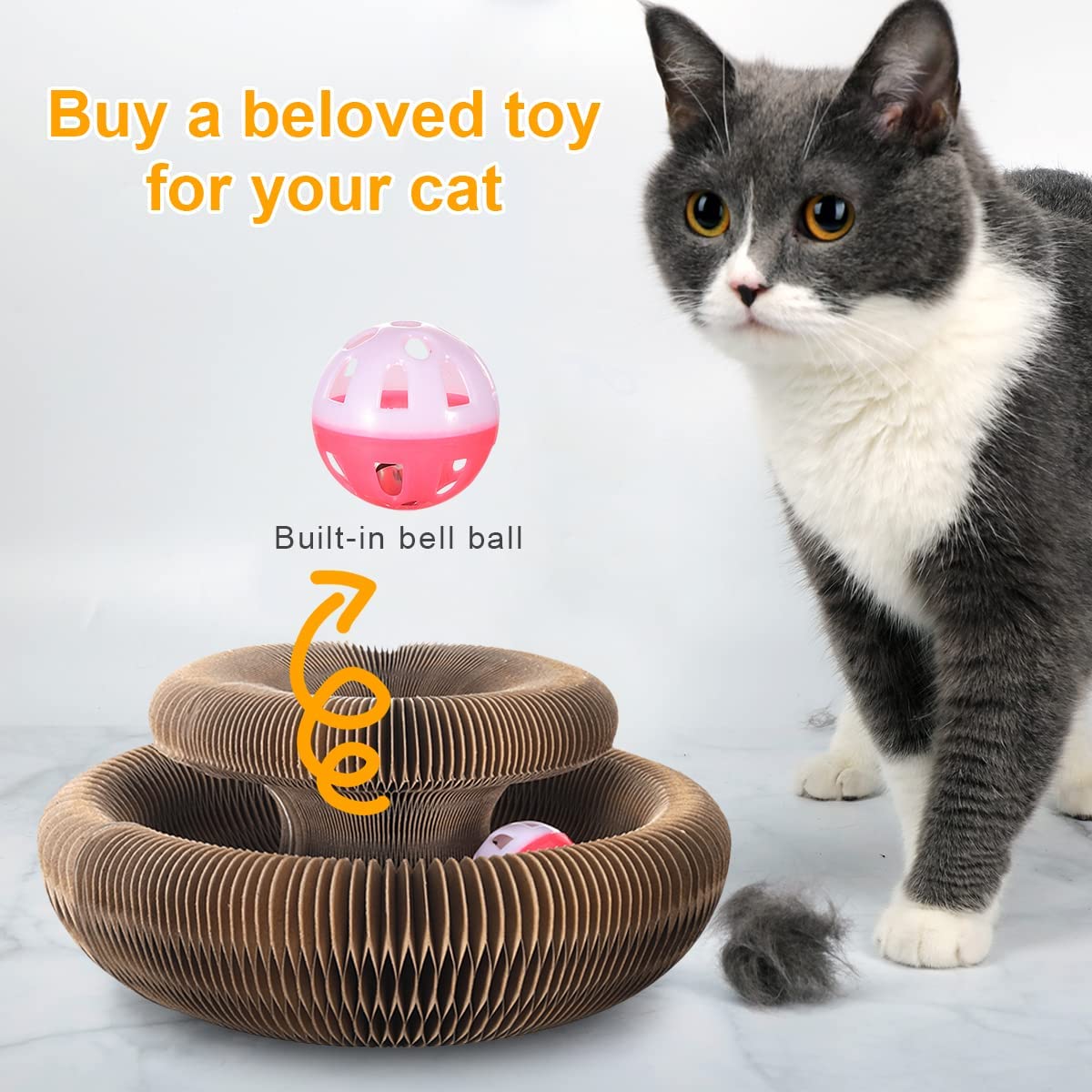 Magic Organ Cat Toy with Ball