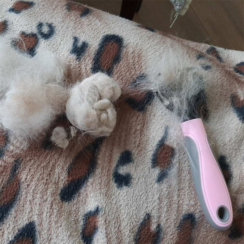 Grooming Brush For Dogs and Cats