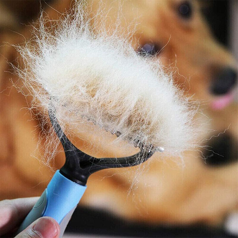 Grooming Brush For Dogs and Cats